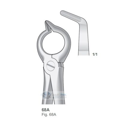 Separator: Upper Molar Roots