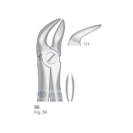 Separator: Lower Molar Roots